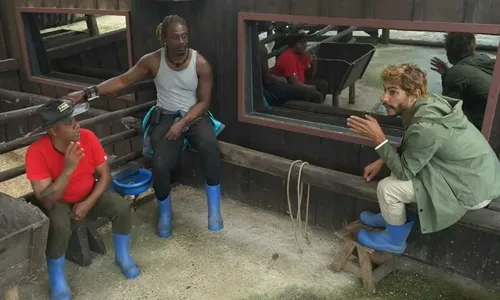 
					A Fazenda 17: Shia arma golpe contra Dudu após combinado e revolta web
				
				