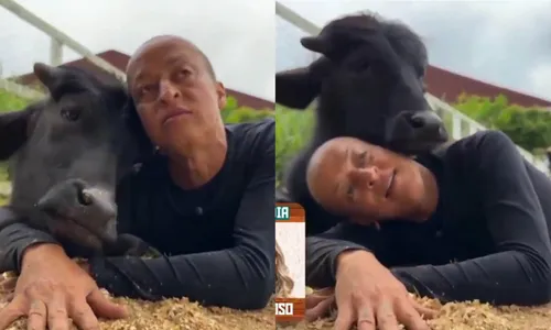 
					A Fazenda 17: Walério troca carinhos com búfalo e vira piada
				
				