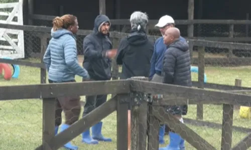   					A Fazenda 17: peões formam aliança e miram votos em peoa; saiba quem  				  				