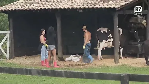 
					A Fazenda: Duda, Mesquita e Kathy armam plano para tirar Dudu da final
				
				