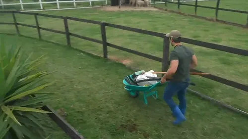 
					A Fazenda: Mesquita dá recado e alfineta Matheus após saída: 'Que paz'
				
				