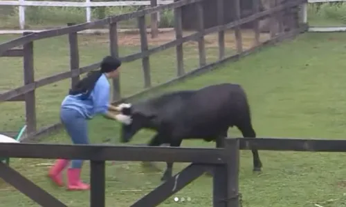 
					A Fazenda: Rayane se revolta ao levar cabeçadas de búfalos e web reage
				
				