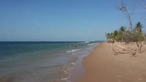 
				
					Adolescente denuncia ter sido amarrada e agredida por prima na Bahia
				
				
