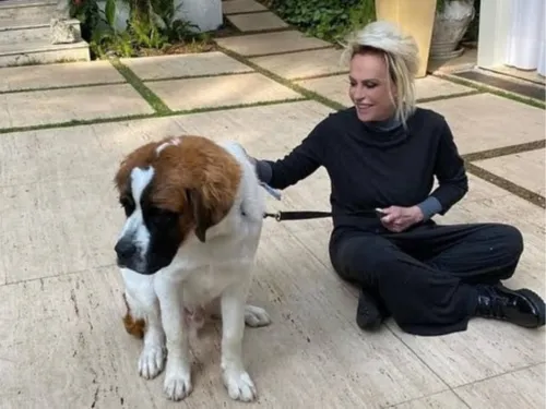 
					Ana Maria Braga emociona ao expor morte de cachorro: 'Não deu tempo'
				
				
