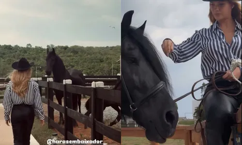 
					Andressa Suita curte fazenda do marido e exibe cavalo de R$ 10 milhões
				
				