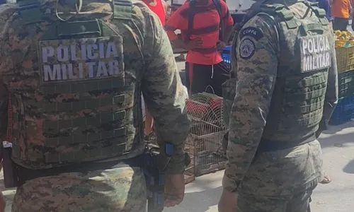
					Aves silvestres são resgatadas em Salvador durante operação policial
				
				