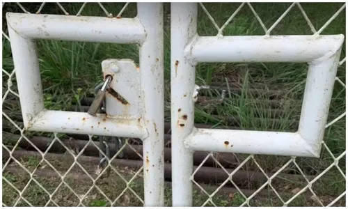 
				
					Bois são mortos e carnes são furtadas de fazenda na Bahia
				
				