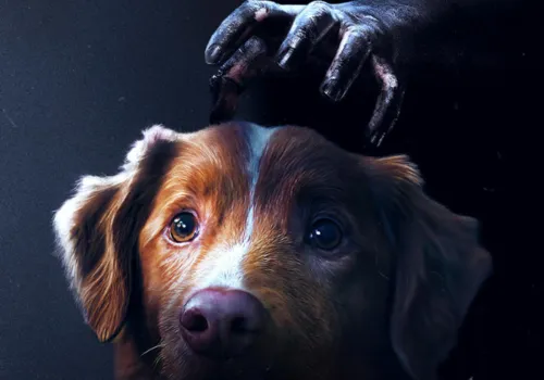 
					'Bom Menino': estreia terror contado do ponto de vista de cachorro
				
				