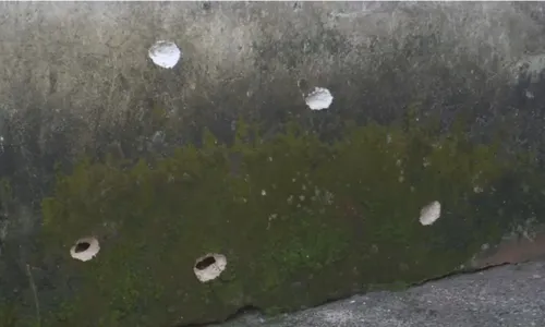 
					Câmera flagra momento em que homem é executado em Salvador
				
				