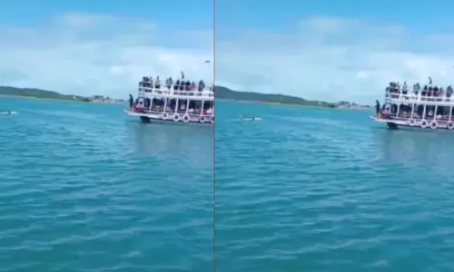 
					Canoa vira com duas pessoas após batida com lancha em Madre de Deus
				
				