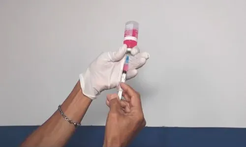 
					Cão é diagnosticado com raiva em Salvador após 20 anos sem registro
				
				