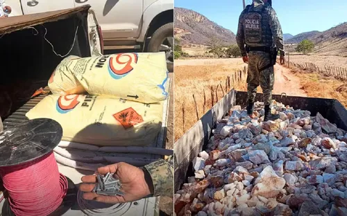 
					Chinês é preso por gerir garimpo ilegal no oeste da Bahia
				
				