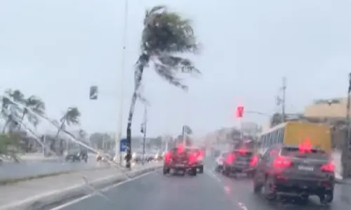 
					Chuva forte deixa mar agitado, provoca ventania e estragos na Bahia
				
				
