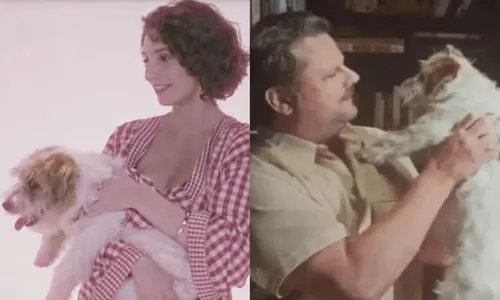 
					'Dona de Mim': cão 'fujão' de Ayla brilhou em Ainda Estou Aqui
				
				