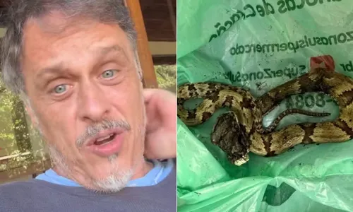 
				
					Estrela de 'A Viagem' é picado por cobra e é levado para emergência
				
				