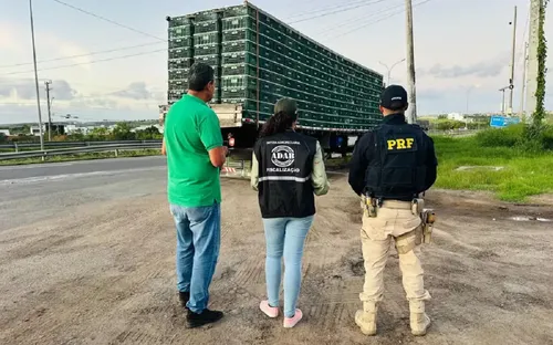 
				
					Frangos apreendidos em Feira de Santana são incinerados e doados
				
				