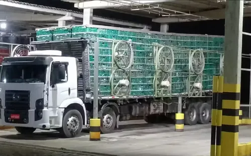 
				
					Frangos apreendidos em Feira de Santana são incinerados e doados
				
				