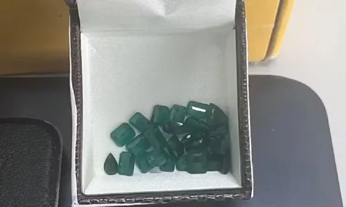 
					Homem é preso em pousada após furtar 25 pedras de esmeraldas na Bahia
				
				