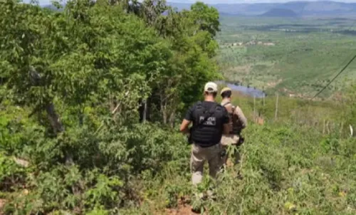 
					Homem é preso suspeito de morte após discussão por gaiola na Bahia
				
				