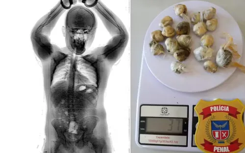 
					Homem engole 18 porções de maconha para entrar em presídio em Brumado
				
				