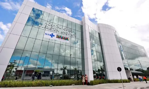 
					Idosa de 70 anos morre após ser atacada por vaca no interior da Bahia
				
				