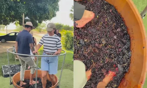 
					Ivete Sangalo se diverte ao pisar em uvas para fazer vinho; vídeo
				
				