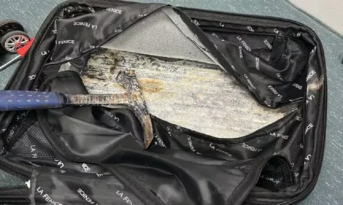 
					Jovem é presa no aeroporto de Salvador ao embarcar cocaína para França
				
				