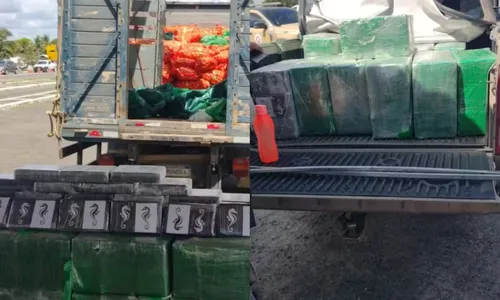 
					Motorista é preso suspeito de transportar meia tonelada de cocaína
				
				