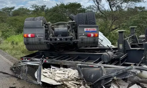 
					Motorista perde controle de carreta após ser picado por abelhas na BA
				
				