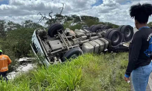 
					Motorista perde controle de carreta após ser picado por abelhas na BA
				
				