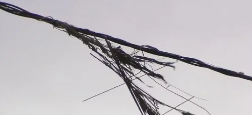   					Mulher é eletrocutada após tentar alcançar pipa em fiação na Bahia  				  				