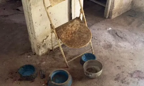 
					Mulher é presa suspeita de maus-tratos a cachorro em Feira de Santana
				
				