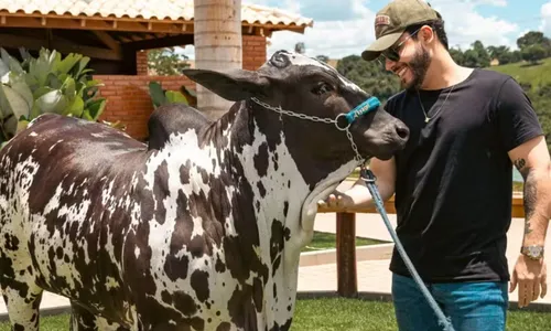 
					Murilo Huff compra vaca por R$ 17 milhões após briga com ex-sogra
				
				