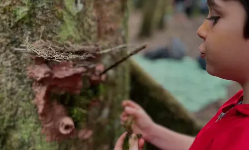 
					No ar em Vale Tudo, Alexandre Nero surge em fotos raras com herdeiros
				
				