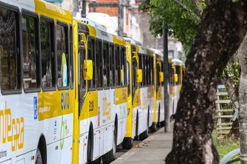 
					Nova linha de ônibus entra em operação em Salvador
				
				