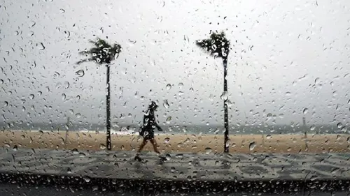 
					Ouvir o que a dor tem a dizer
				
				