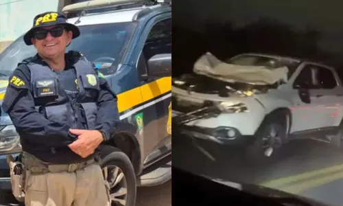 
					PRF morre após ser atropelado ao tirar animais da pista na Bahia
				
				