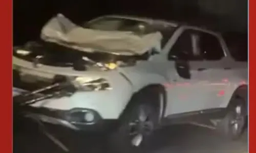 
					PRF morre após ser atropelado ao tirar animais da pista na Bahia
				
				