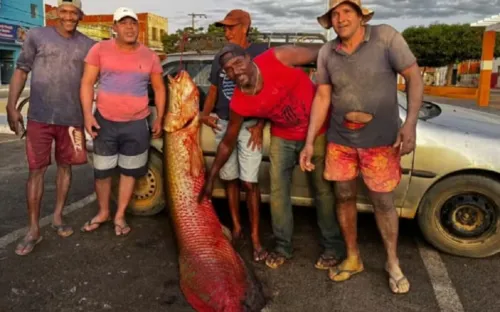 
				
					Pescadores capturam pirarucu gigante de 92 kg em Malhada
				
				