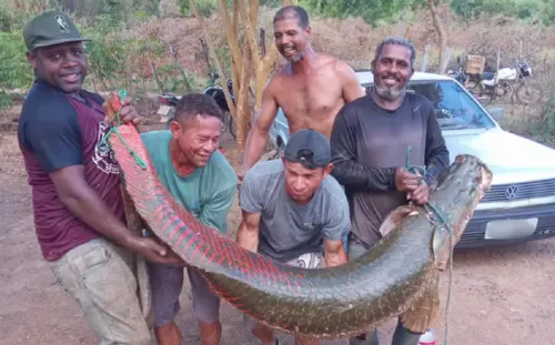 
				
					Pescadores capturam pirarucu gigante de 92 kg em Malhada
				
				
