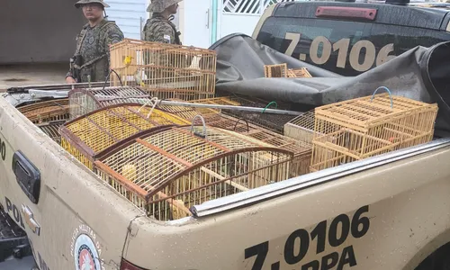 
					Polícia apreende 22 aves silvestres em Catu durante operação ambiental
				
				