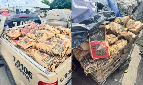 
					Polícia apreende 450kg de carvão vegetal irregular em Salvador
				
				