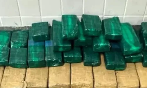
				
					Polícia apreende cerca de 50kg de maconha em Feira de Santana
				
				