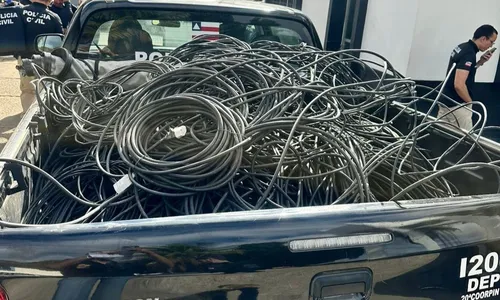 
					Polícia recupera 2 mil metros de fios elétricos furtados de prefeitura
				
				