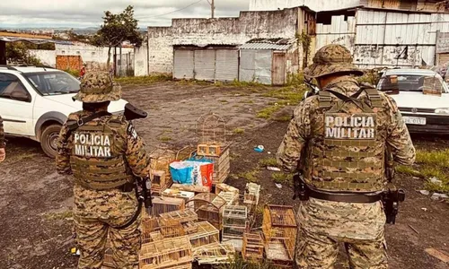 
					Polícia resgata mais de 200 aves silvestres em Feira de Santana
				
				