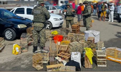 
					Polícia surpreende suspeitos e resgata animais no interior do estado
				
				