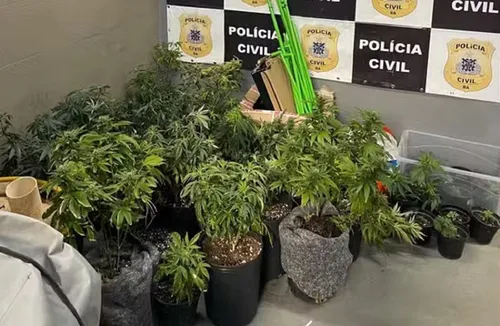 
					Homem é preso com 4 estufas para cultivo de maconha em apartamento
				
				