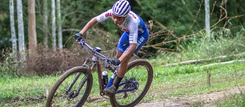 
					Produção de bicicletas no Polo de Manaus ultrapassa 239 mil até agosto
				
				