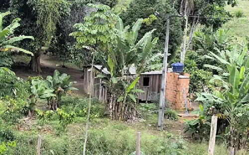 
				
					Resgatados trabalhadores em condições análogas à escravidão na Bahia
				
				