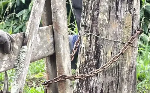 
				
					Resgatados trabalhadores em condições análogas à escravidão na Bahia
				
				
